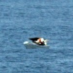 Photo-of-Stranded-Fishermen-taken-by-Passenger