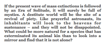 Screen Shot 2013-07-09 at 9.19.49 AM