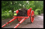 dung cart