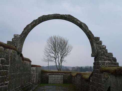 PORTAL FOR REGENERATION