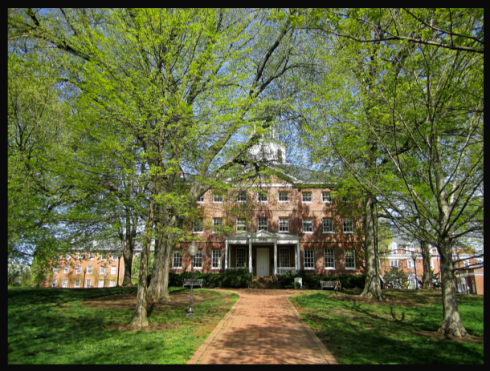 HEALTHY TREES AT ST. JOHN'S COLLEGE