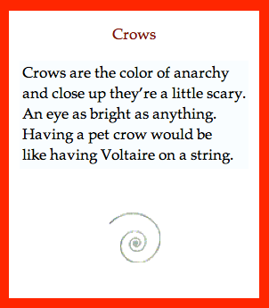 crows