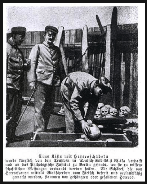 POSTCARD FROM SHARK ISLAND