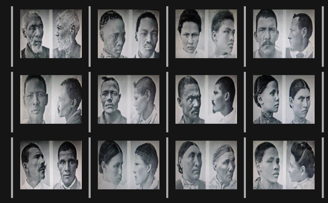 EUGEN FISCHER'S AFRICAN STUDIES