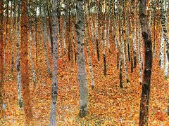Birch-Forest