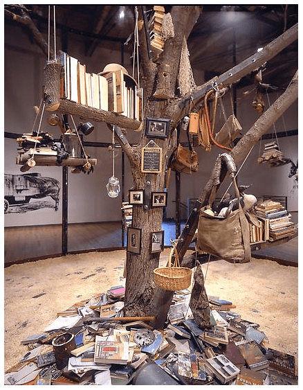 LIBRARY FOR THE BIRDS OF MASSACHUSETTS