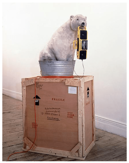 POLAR BEAR AND TOUCANS